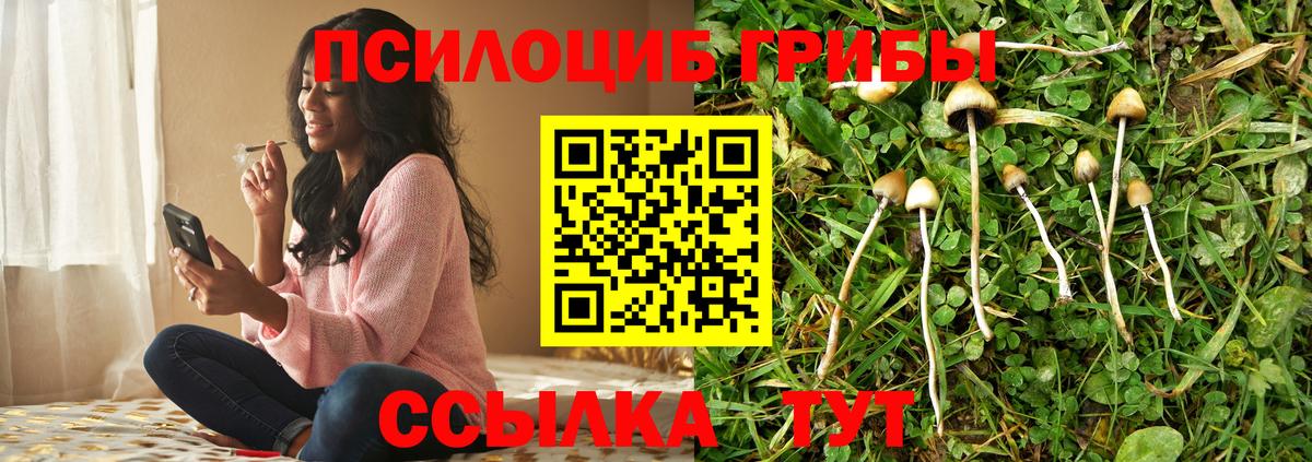 Галлюциногенные грибы GOLDEN TEACHER  Галлюциногенные грибы Magic Shrooms  Мичуринск  Вход с VPN 